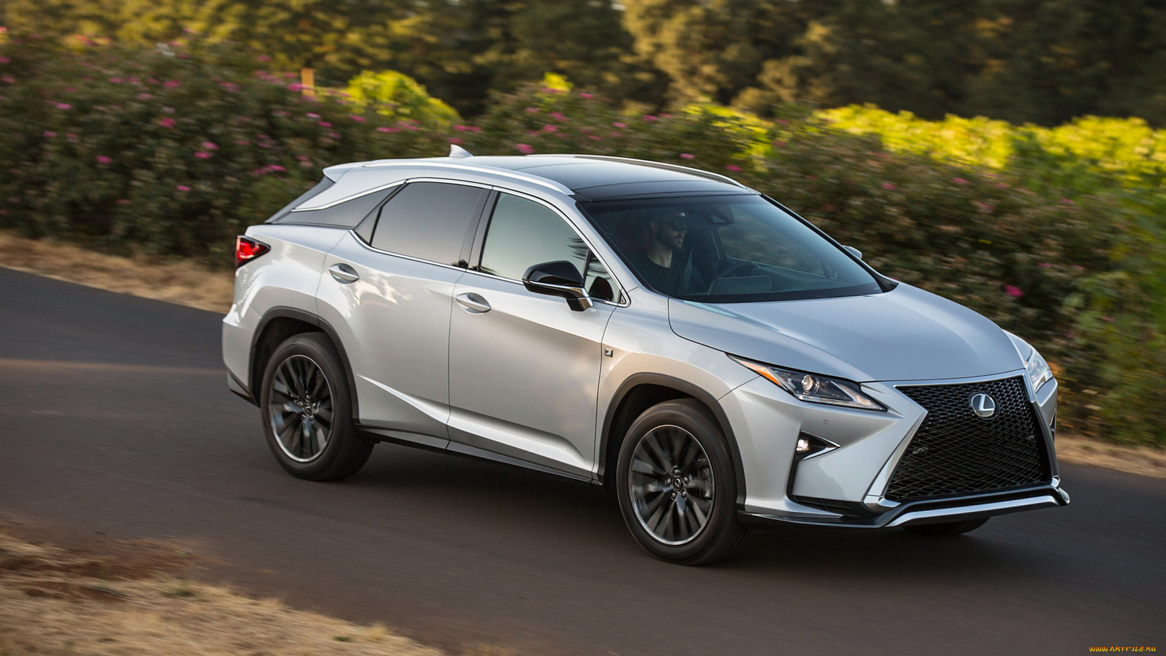 lexus rx 350 f-sport 2018, , lexus, 2018, , f-sport, 350, , rx